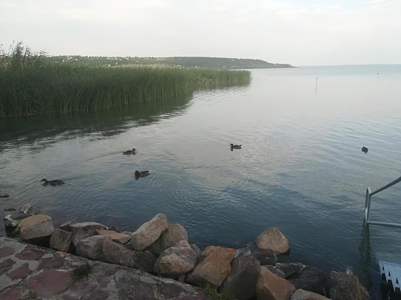 Betty Apartman Balatonfůzfő Zewnętrze zdjęcie
